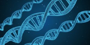 DNA strands for modern science facts