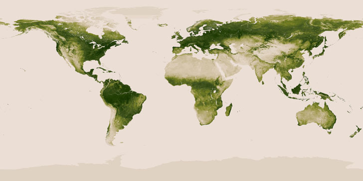 World vegetaion map by NASA and NOAA