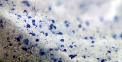 Plastic microbeads in our personal care products