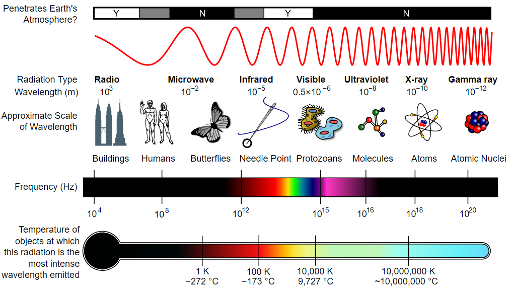 Cell phones and health effects of radiofrequency radiation Digitash