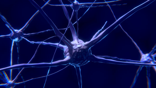 Photo inspiration: Gallery Detail: How Dopamine Driven Feedback Loops Work