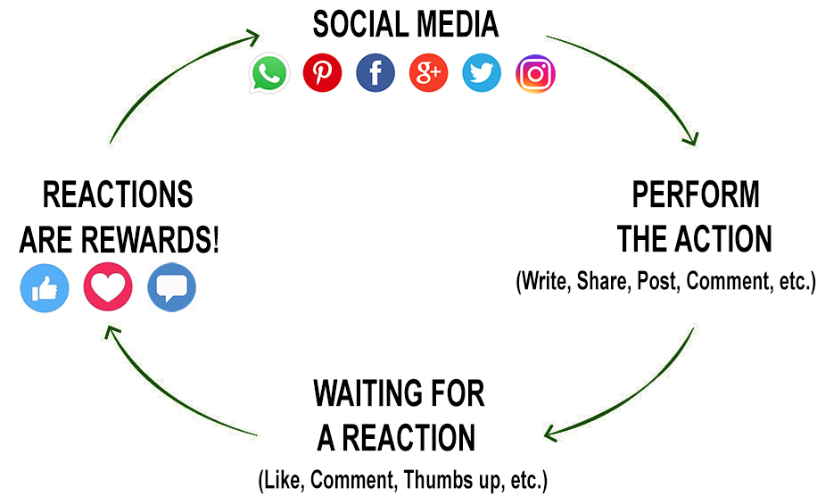 How dopamine driven feedback loops work