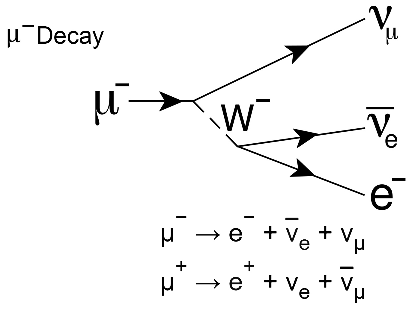 muon-to-electron-decay-forming-muon-antineutrino-Feynman-diagram