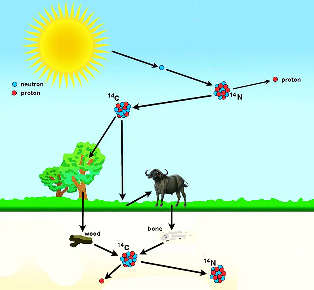 Carbon dating